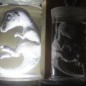 Models of dinosaur embryos, The Dinosaur House (Raetihi)