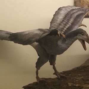 Model of Archaeopteryx, The Dinosaur House (Raetihi)