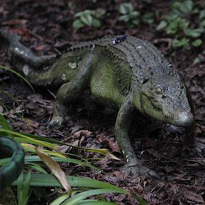 Model of crocodilian, The Dinosaur House (Raetihi)