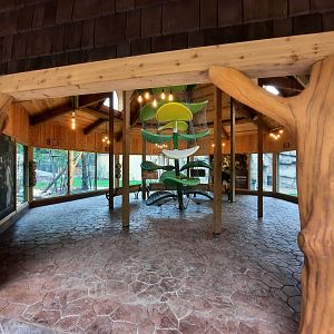 Susie's Bear Hollow- First Viewing Shelter