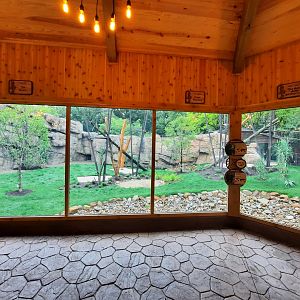 Susie's Bear Hollow- First Viewing Window