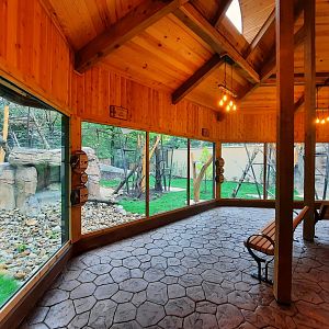 Susie's Bear Hollow - Second Viewing Window