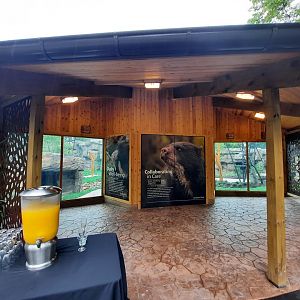 Susie's Bear Hollow- 2nd Viewing Shelter