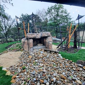 Susie's Bear Hollow- First Bear Yard