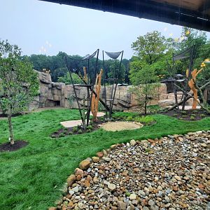 Susie's Bear Hollow- Second Bear Yard