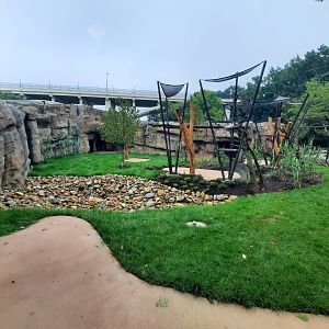 Susie's Bear Hollow- Third Bear Yard