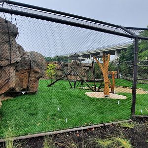 Susie's Bear Hollow- Fourth Bear Yard