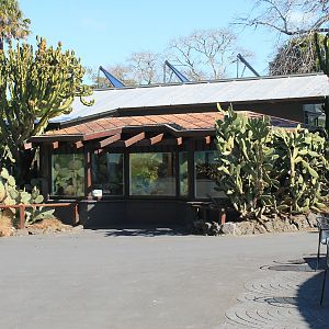 Galapagos Tortoise house