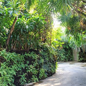 Tropical Dome interior