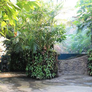 Tropical Dome interior
