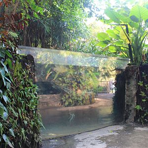 Tropical Dome interior