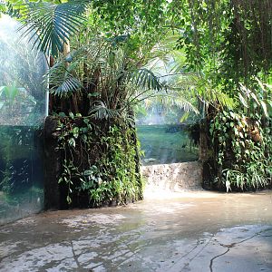 Tropical Dome interior