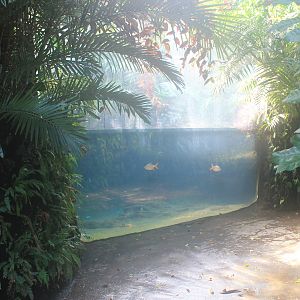 Tropical Dome interior