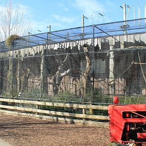 Budgerigar aviary - Buttermilk Farm