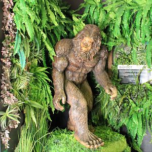 Mythical Creatures - Bigfoot