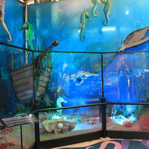 Mythical Creatures - mermaids