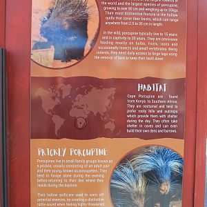 Crested Porcupine signage
