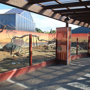 Meerkat / Crested Porcupine enclosure