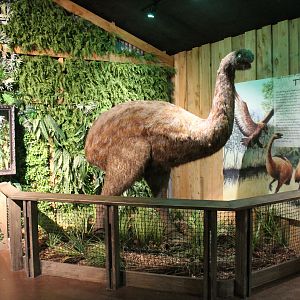 Kiwi House - moa model