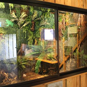 Kiwi House - Giant Weta tank (unoccupied)