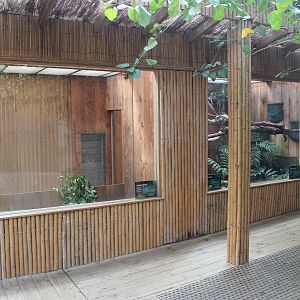 enclosures for Leopard Tortoises and Green Iguana