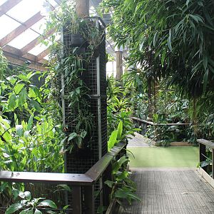 Butterfly House