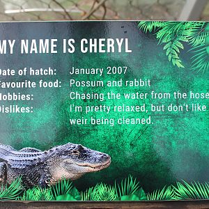 American Alligator signage