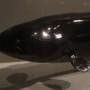 Model of New Zealand Longfin Eel, Whanganui Regional Museum