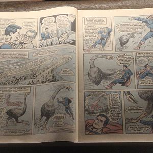 "Superman and the Last Moa on Earth!", Whanganui Regional Museum