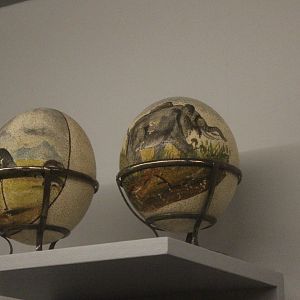 Decorated eggs of Common Ostrich, Whanganui Regional Museum