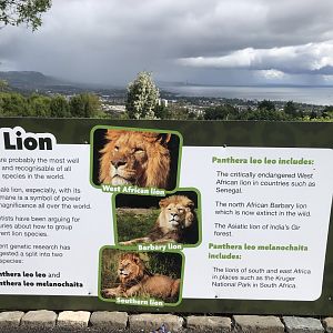 Kingdom of the Barbary Lion - new signage