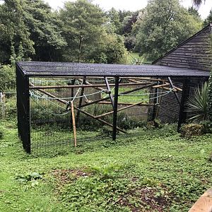 Extension of spider monkey house