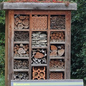 Insect-hotel