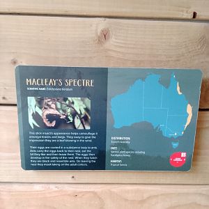 Signage Example in the Koala house