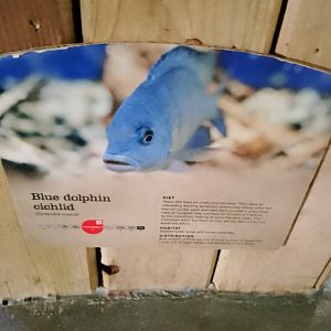 Signage  Example in Crocodile house