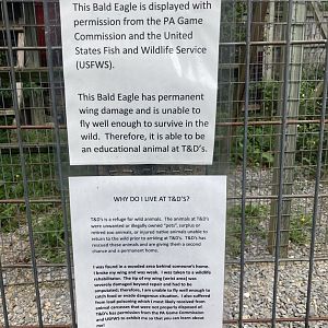 Eagle Information Signs