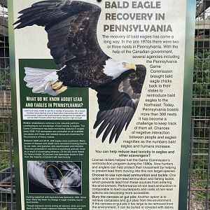 Eagle Information Signs