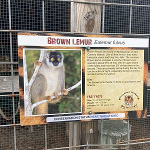 Brown Lemur signage