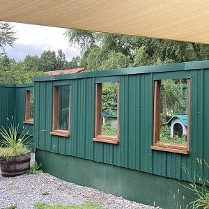 Striped Skunk exhibit