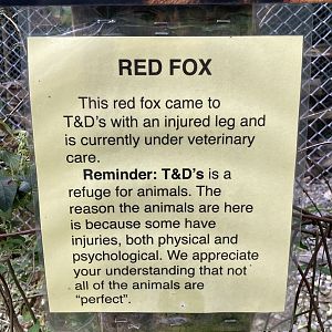 Red Fox signage