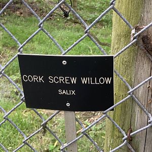 Plant signage example (all the trees here were signed)