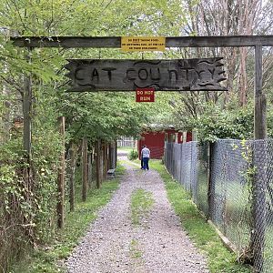 Cat Country archway