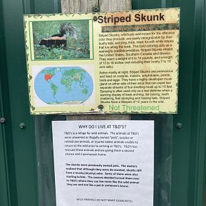 Rescued Skunk Signage