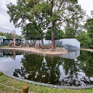 "Reconstructed" chimpanzee enclosure
