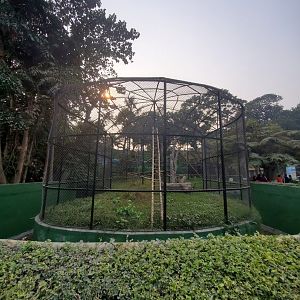 Hoolock Gibbon Exhibit - January 2023