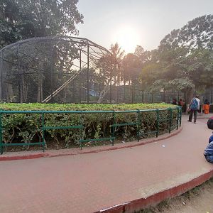 Hoolock Gibbon Exhibit - January 2023