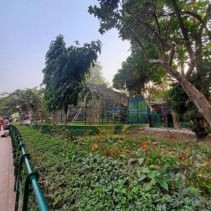 Hoolock Gibbon Exhibit - January 2023