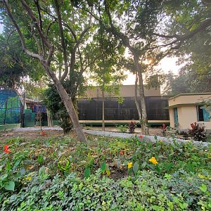 Unidentified Macaque in Cage - January 2023