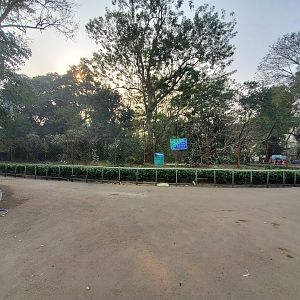 Saltwater Crocodile Exhibit - January 2023