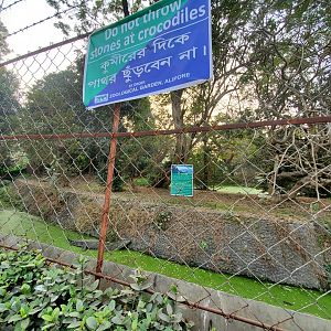 Saltwater Crocodile Exhibit - January 2023